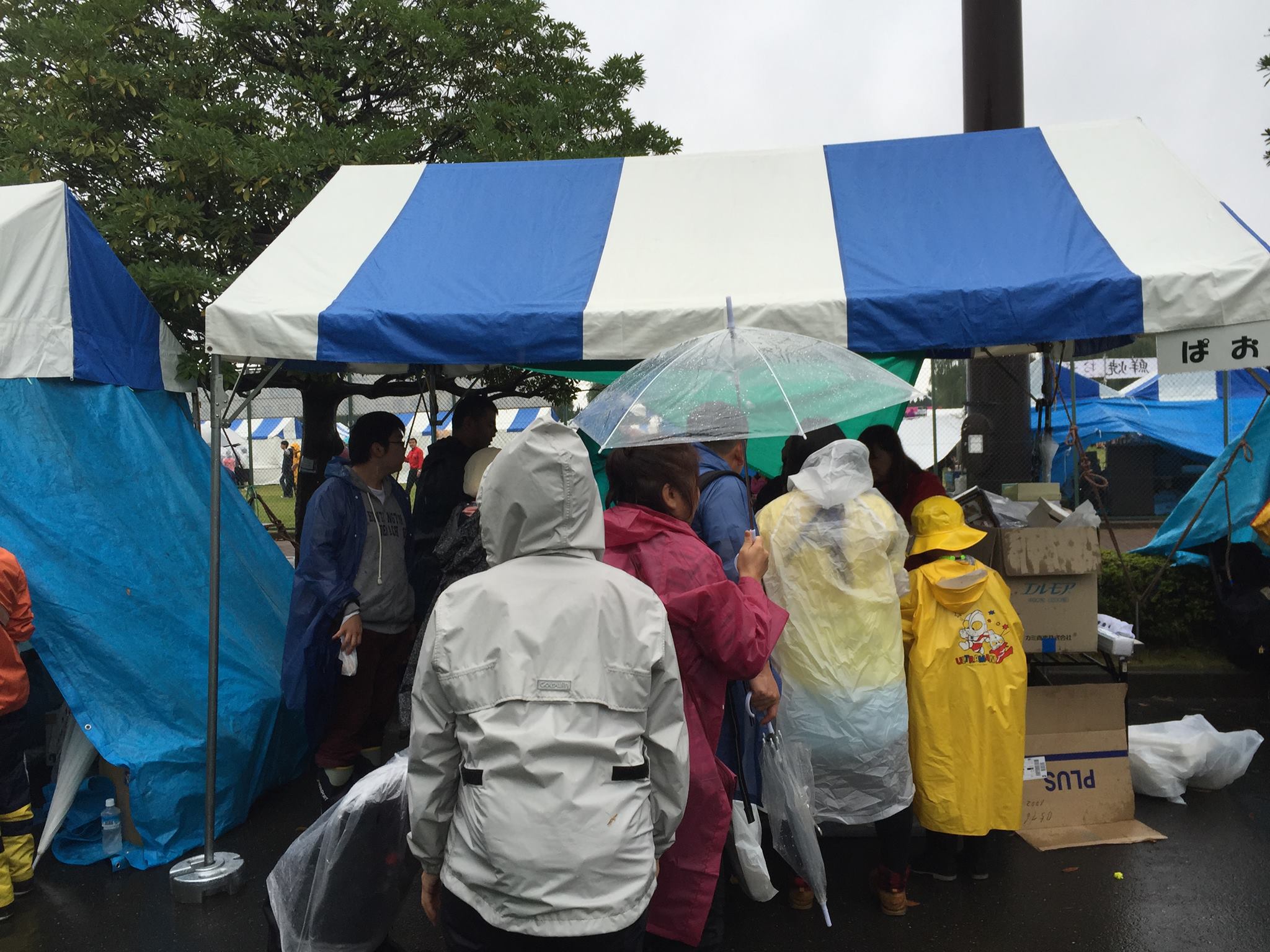 ぱおの2015年江戸川区民まつりの様子。